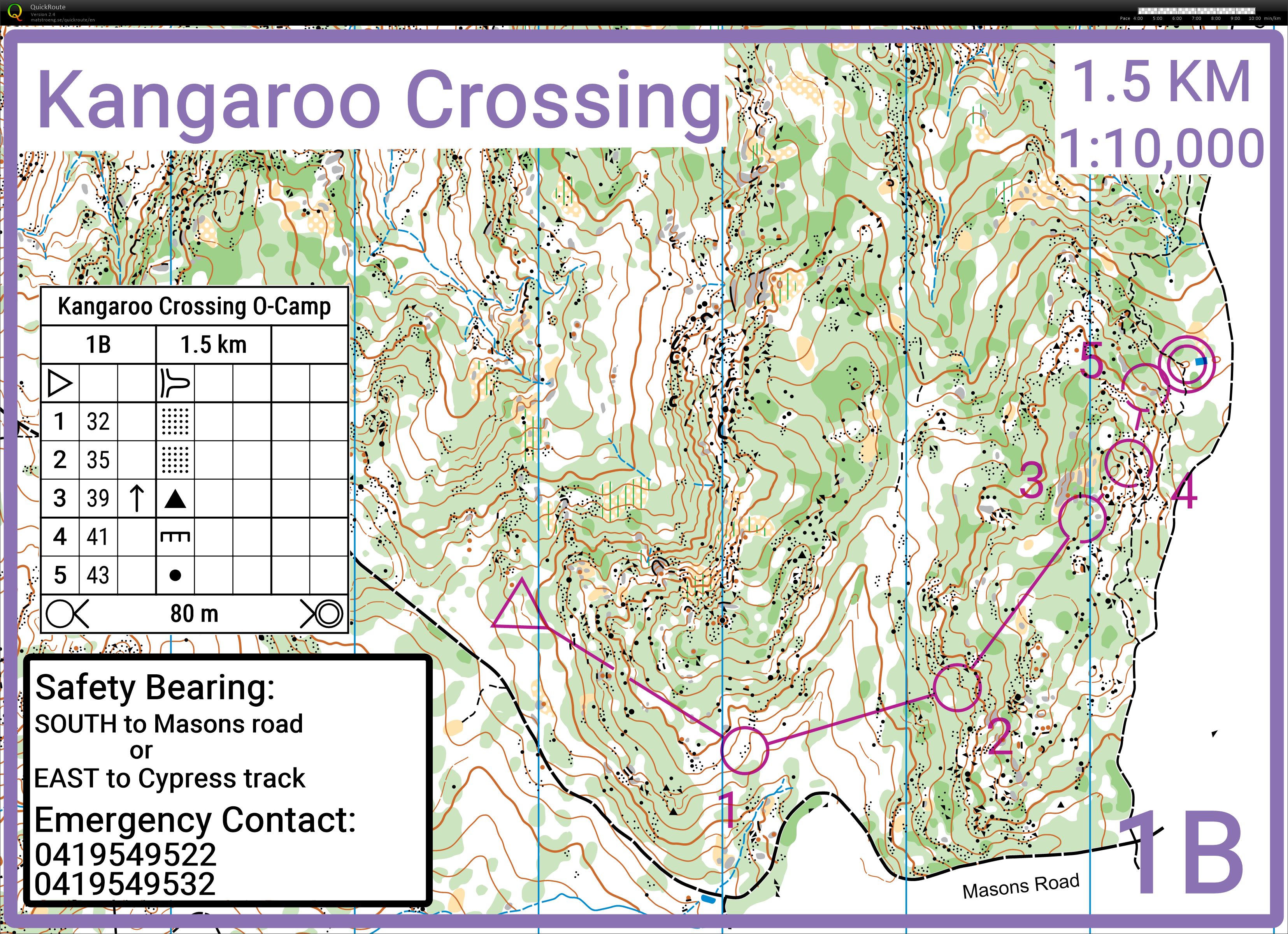 Kangaroo crossing O-int 1 (24/01/2022)