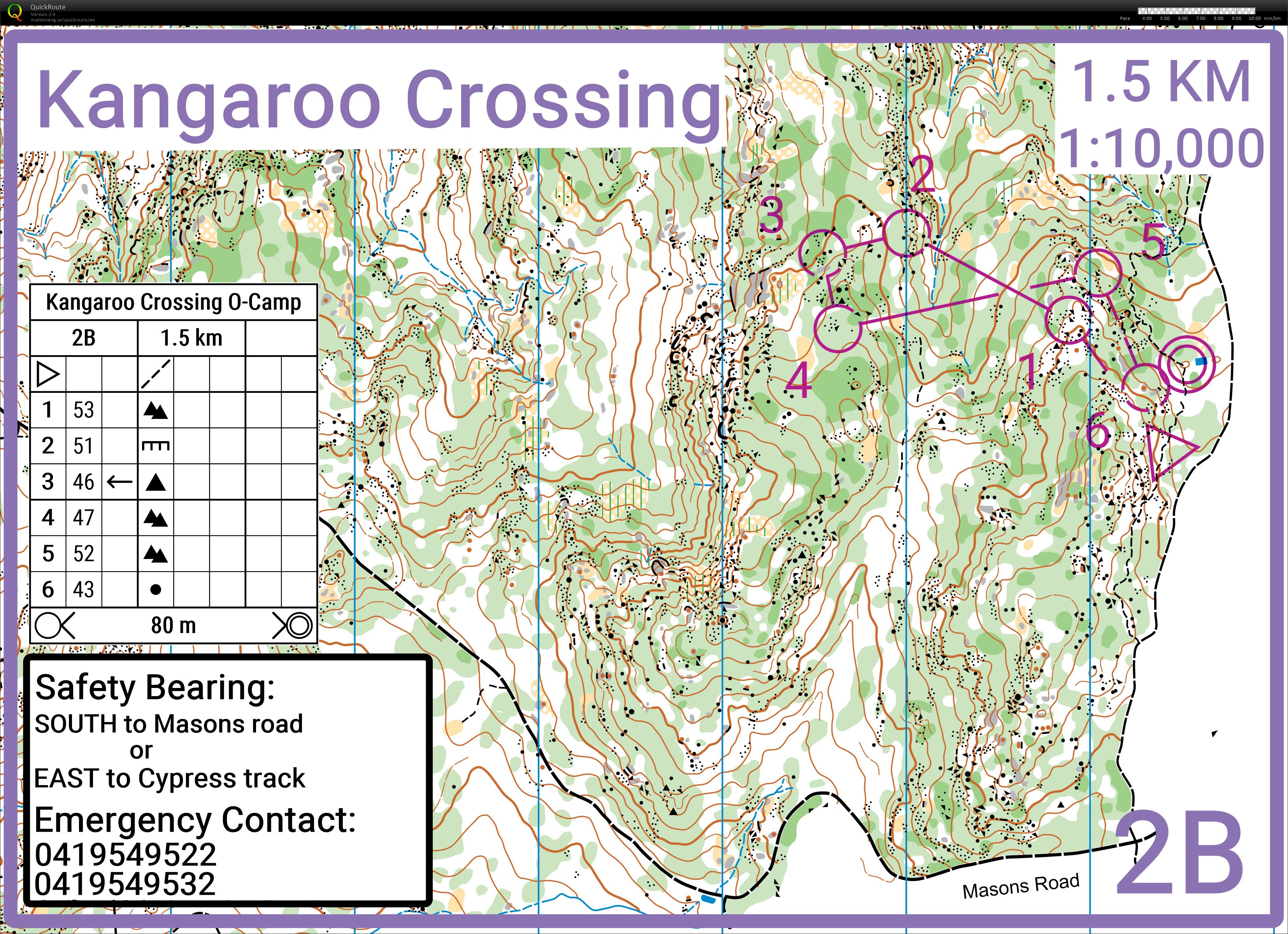 Kangaroo crossing O-int 2 (24/01/2022)