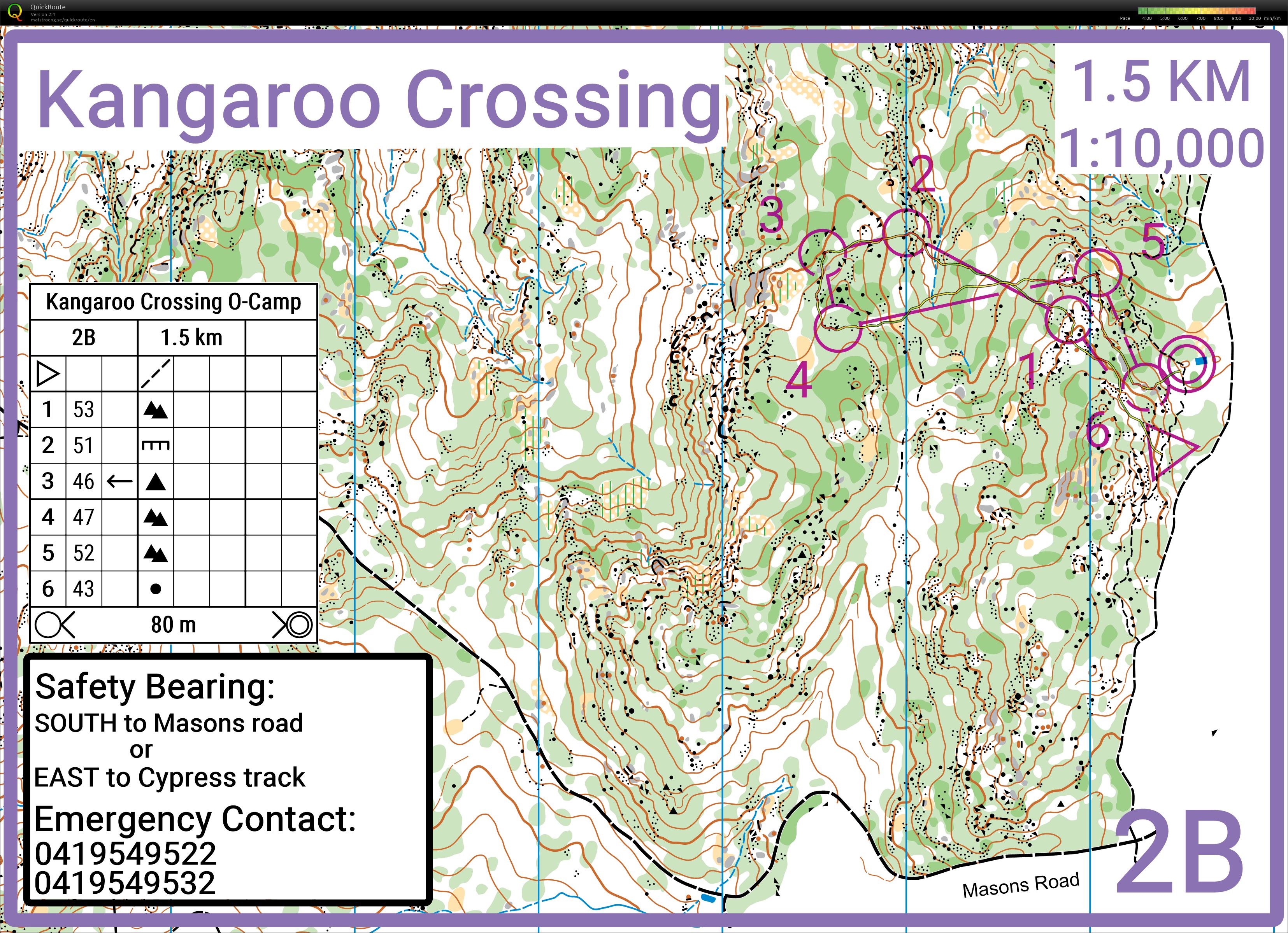 Kangaroo crossing O-int 2 (24/01/2022)