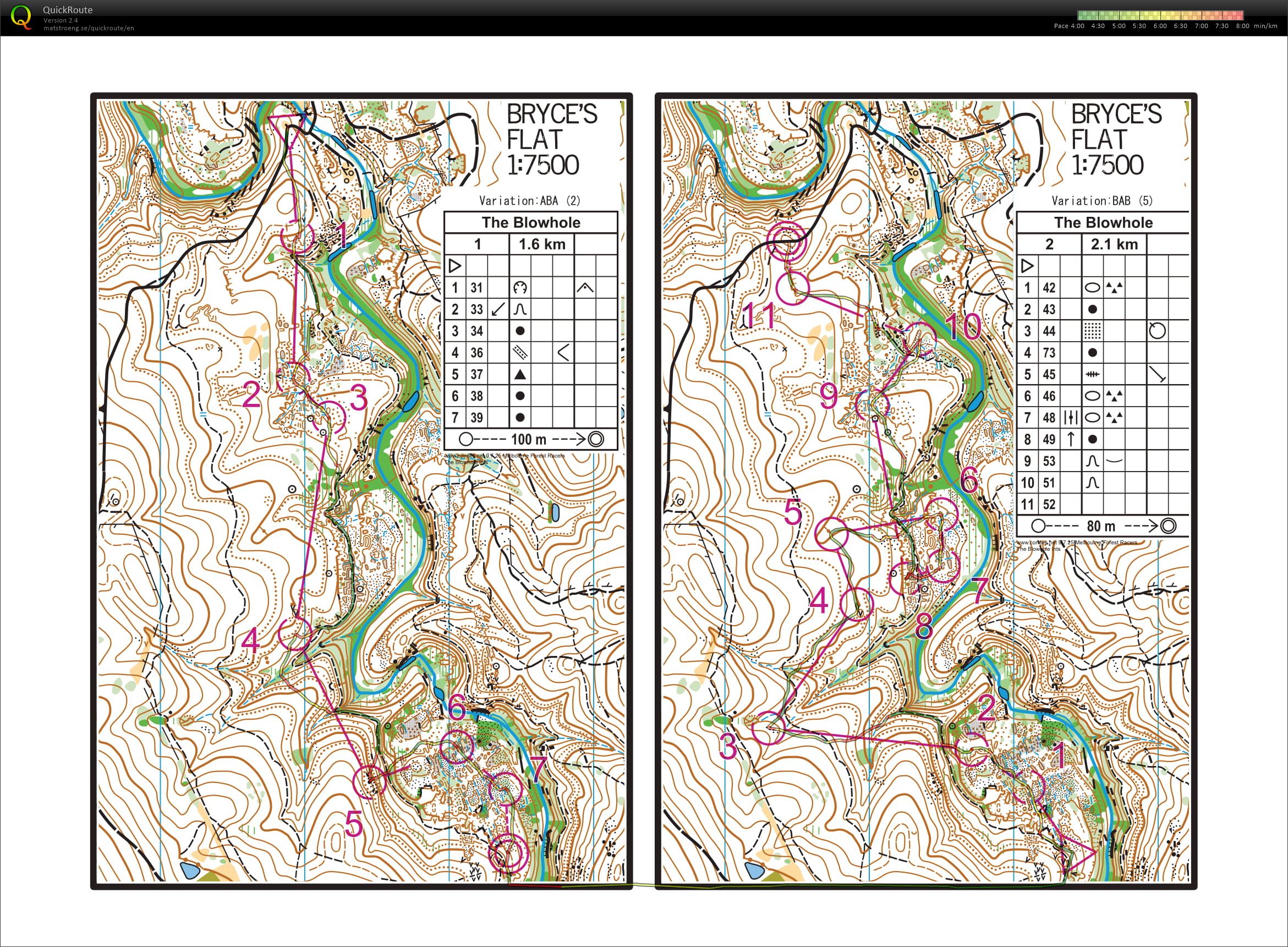 Blowhole mass start intervals (1-2) (14/05/2020)